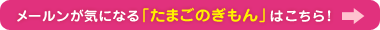 メールンが気になる「たまごのぎもん」はこちら！