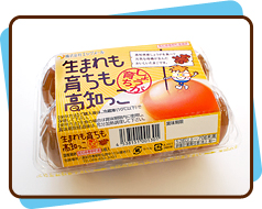 生まれも育ちも高知っこ　生姜育ち