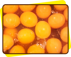 液卵（えきらん）