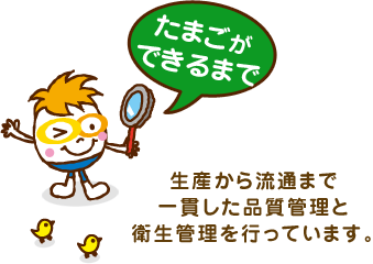 たまごができるまで 生産から流通まで一貫した品質管理と衛生管理を行っています。