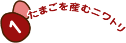 1 たまごを産むニワトリ