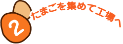 2 たまごを集めて工場へ